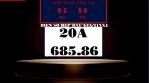 Đấu giá biển số xe ô tô trở lại sau 3 ngày tạm ngưng: 20A-685.86 về nhất khi được trả 360 triệu đồng